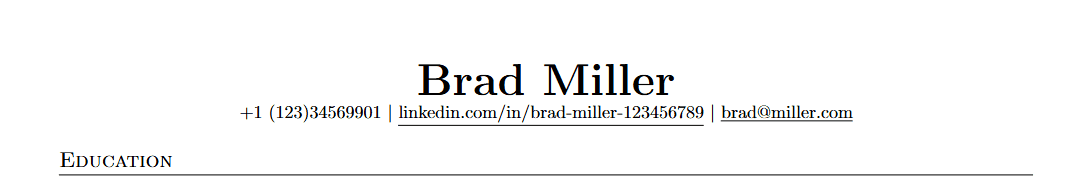 Header section resume
